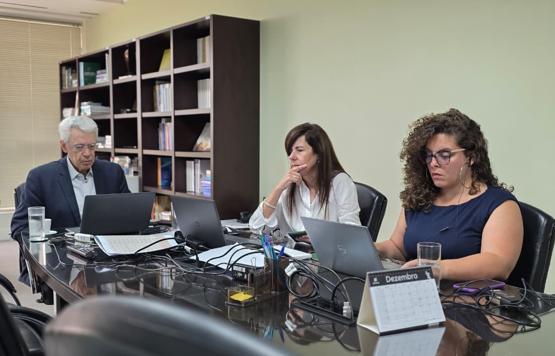 Seminário virtual de avaliação dos INCTs